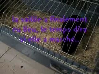 Touk peut être futur papa!