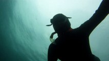 Observação Submarina, Ubatuba, SP, Brasil, Marcelo Ambrogi, Peixes, Tartarugas Gigantes, Apneia, Ilhas Indômitas, Mares Indômitos, (15)