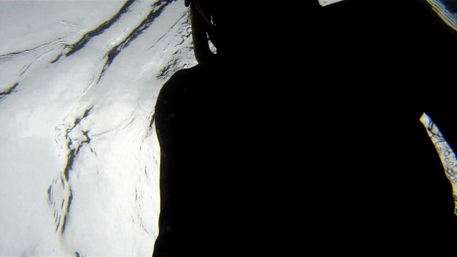 Observação Submarina, Ubatuba, SP, Brasil, Marcelo Ambrogi, Peixes, Tartarugas Gigantes, Apneia, Ilhas Indômitas, Mares Indômitos, (17)