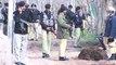 Dunya News - Dozens arrested during joint raids in Islamabad, Peshawar