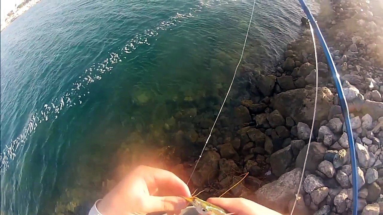 Fly Fishing UAE Dubai
