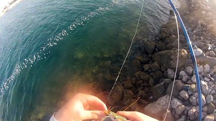 Fly Fishing UAE Dubai