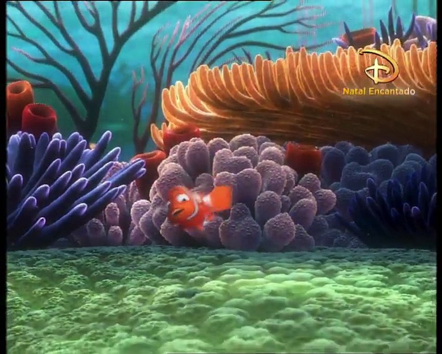 À procura de Nemo dia 24 na SIC!