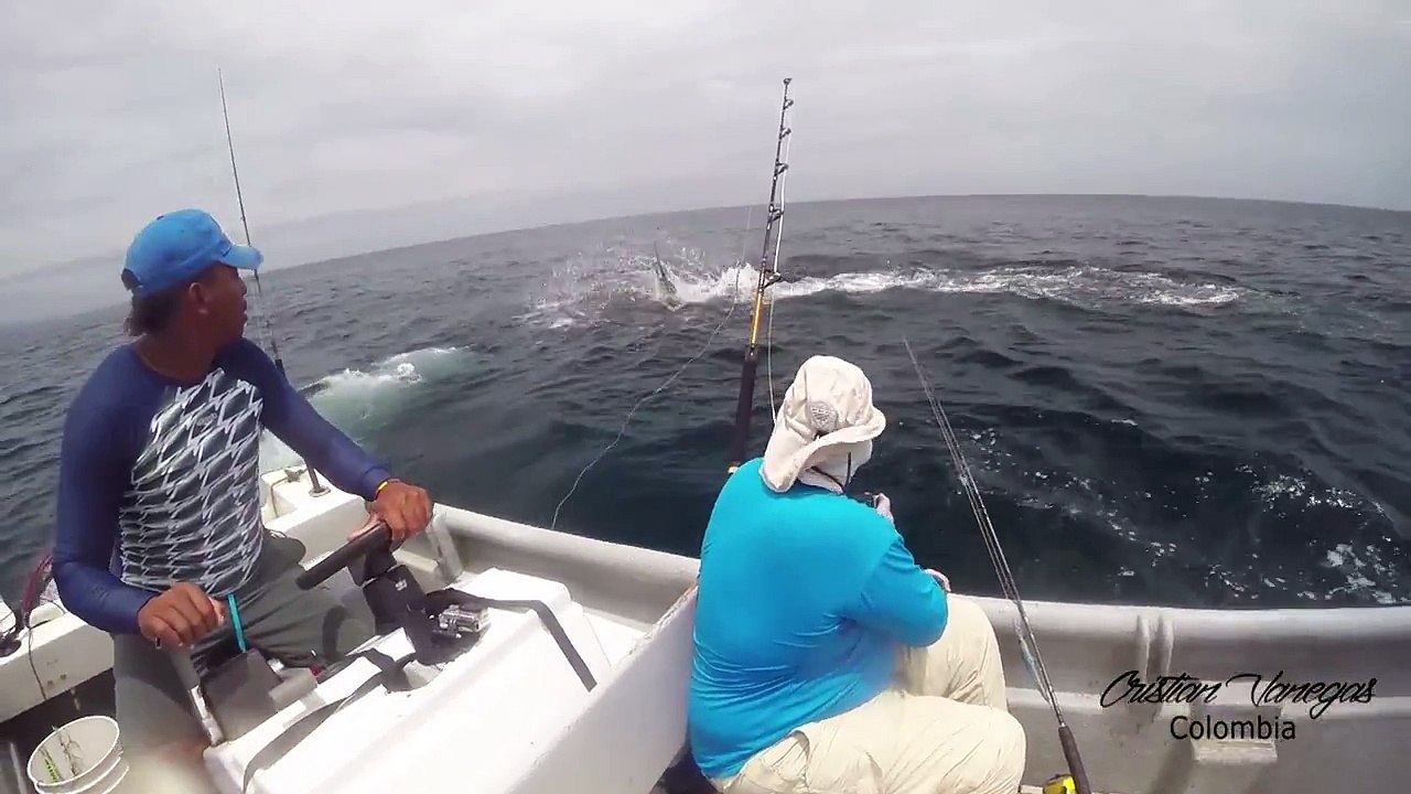CRISTIAN VANEGAS Pesca de Pez Vela en Bahia Solano Colombia, Sailfish  Fishing in Colombia - video Dailymotion