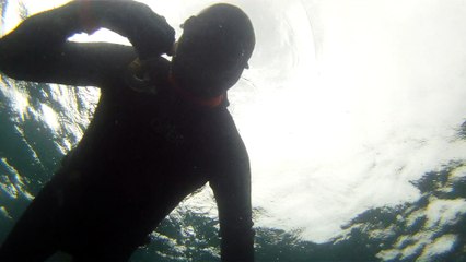 Observação Submarina, Ubatuba, SP, Brasil, Marcelo Ambrogi, Peixes, Tartarugas Gigantes, Apneia, Ilhas Indômitas, Mares Indômitos, (22)