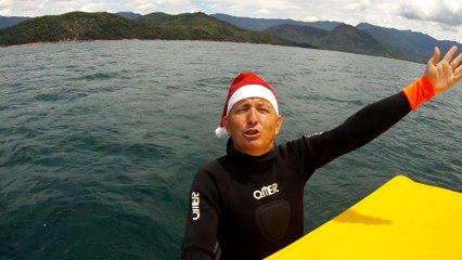 Observação Submarina, Ubatuba, SP, Brasil, Marcelo Ambrogi, Peixes, Tartarugas Gigantes, Apneia, Ilhas Indômitas, Mares Indômitos, (23)