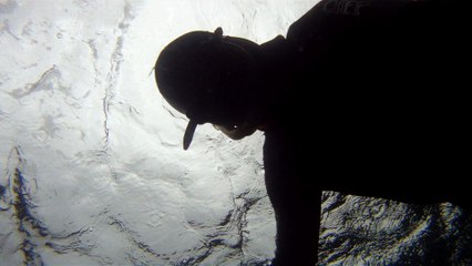 Observação Submarina, Ubatuba, SP, Brasil, Marcelo Ambrogi, Peixes, Tartarugas Gigantes, Apneia, Ilhas Indômitas, Mares Indômitos, (28)
