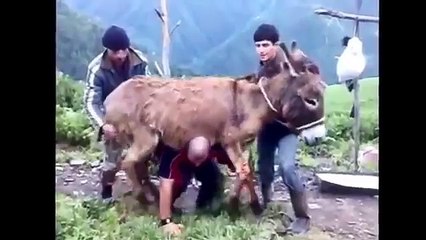 top Funny Kids, Funny Animals Compilation mp4, funny video lucu banget asli ngakak.flv