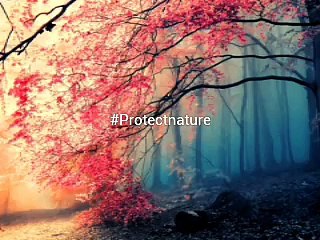 #protectnature