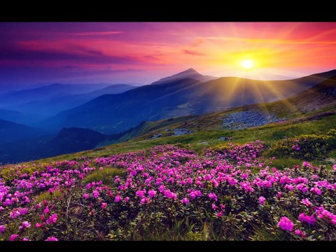 CANCIÓN DÍA DE PAZ 2015 CEIP SIMÓN BOLÍVAR