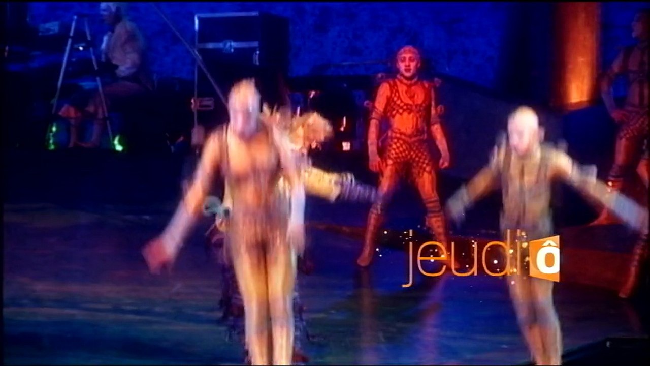 Alegria par le cirque du Soleil