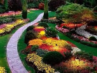 * *    Ömür Göksel - Yaşadım mı?  Öldüm mü?    * *