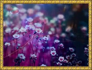 KUBAT *Oynayın Gız Oynayın* (Kız Atlatma Horonu)