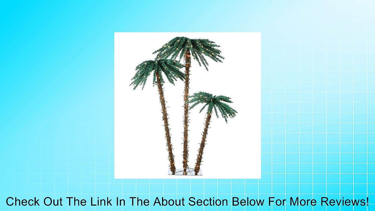 Sterling 5208-3556c 3.5-Feet, 5-Feet and 6-Feet Pre-Lit Palm Tree Clear Lights Review
