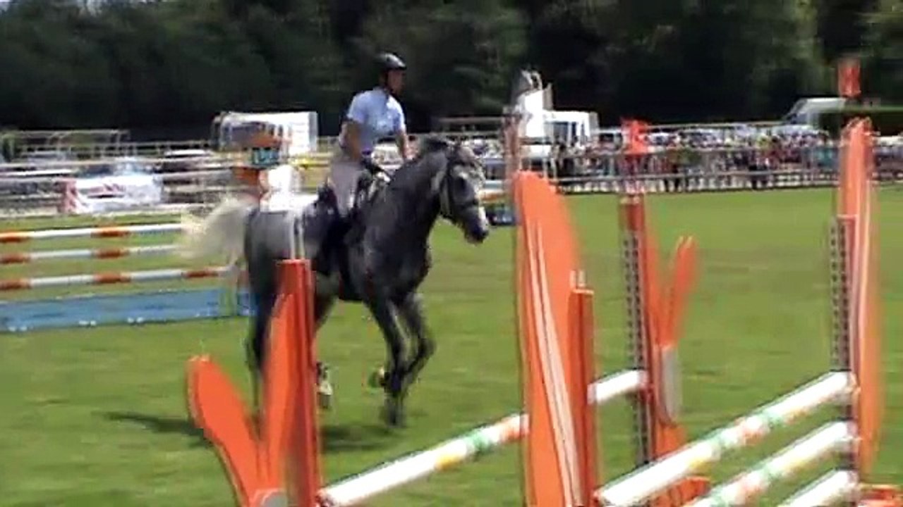 Clooney, mâle par Cornet Obolensky, Ezy.
