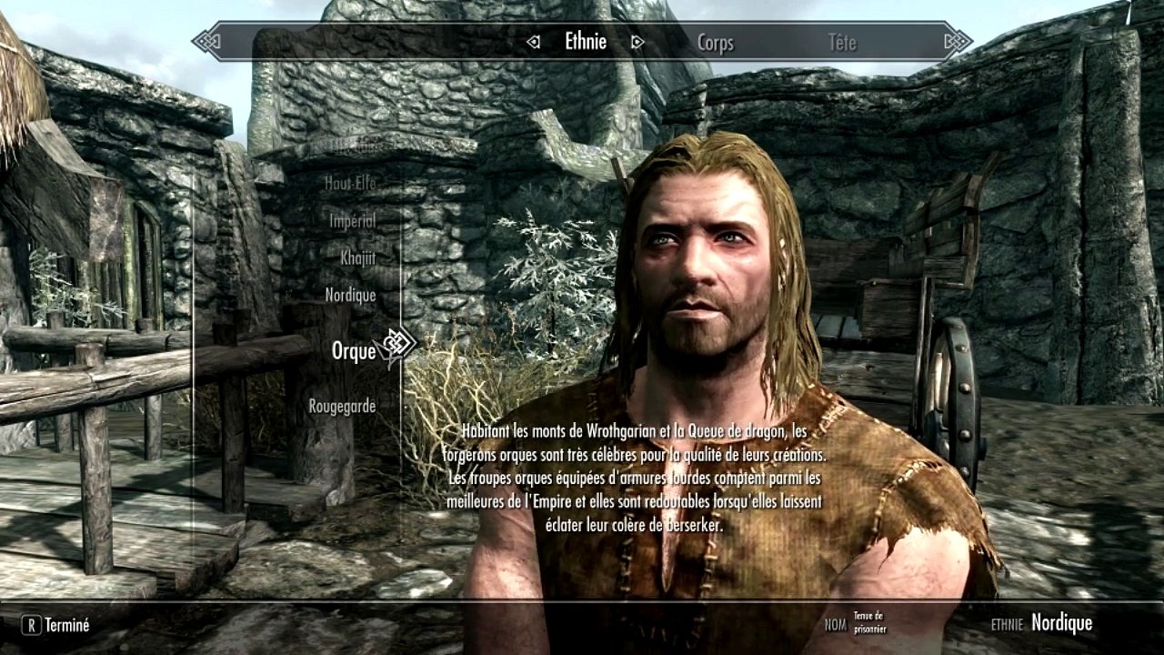 let'splay skyrim #1