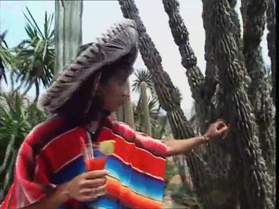 YTP - Les Cactus de la mort.