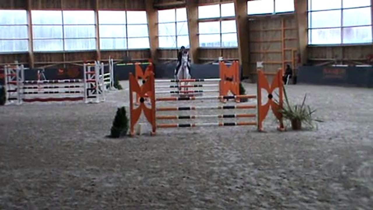 Uster, hongre par Mr Blue, Le Mans.