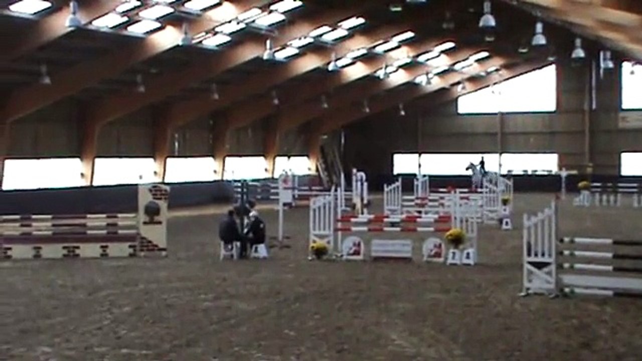 Uster, hongre par Mr Blue, St Aubin 2.