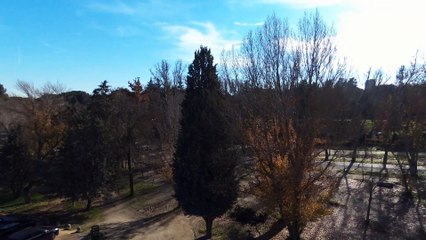 lago casa de campo-segundo vuelo