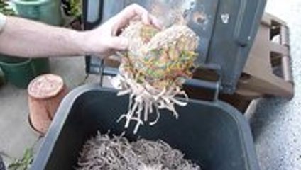 Cutting a rubber band ball in half