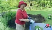 New Evil Old Lady Buries Her Husband