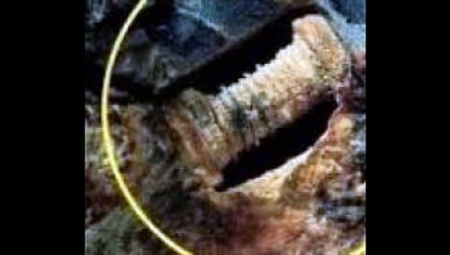 Une pièce mécanique de 300 millions d'années découverte !