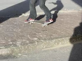 session skate fevrier 2007