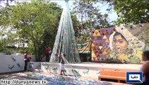 Dunya News - Christmas tree made out of plastic bottles in Mexico