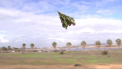 Flying Christmas Tree Spotted in the Skies Over San Diego