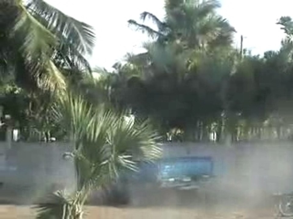 Palmitoss