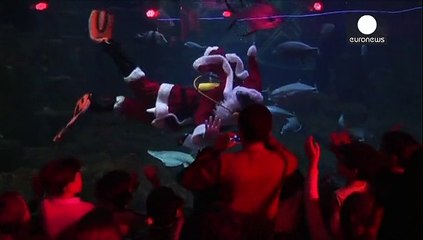 حضور یک بابا نوئل غواص در آکواریومی در پاریس