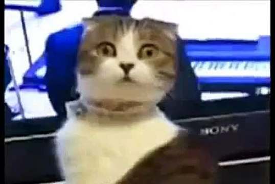 yoğun dozda korku ve gerilim