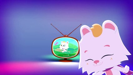 Pisi 1 Ocak'tan İtibaren Her Gün Planet Çocuk'ta