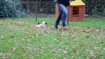 Joplin et Jade Little Champs