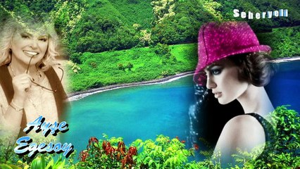 Unutulur  ♪♪♪ Yorum : Ayşe Egesoy / Şiir : Seyyid Osman Hulûsi Efendi