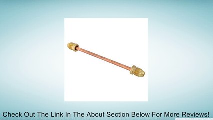 1682 HOGTAIL POL X POL X 12"" SHORT Review