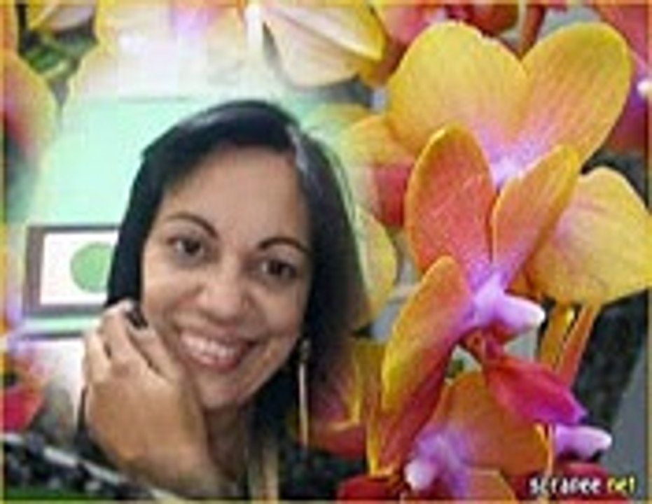 FIM DE ANO
