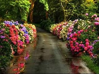 PERİHAN DEMİR ( AĞLAMA ) (1)