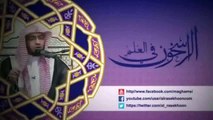 تدوين مذهب الإمام مالك ودواوين مذهب المالكية - الشيخ صالح المغامسي