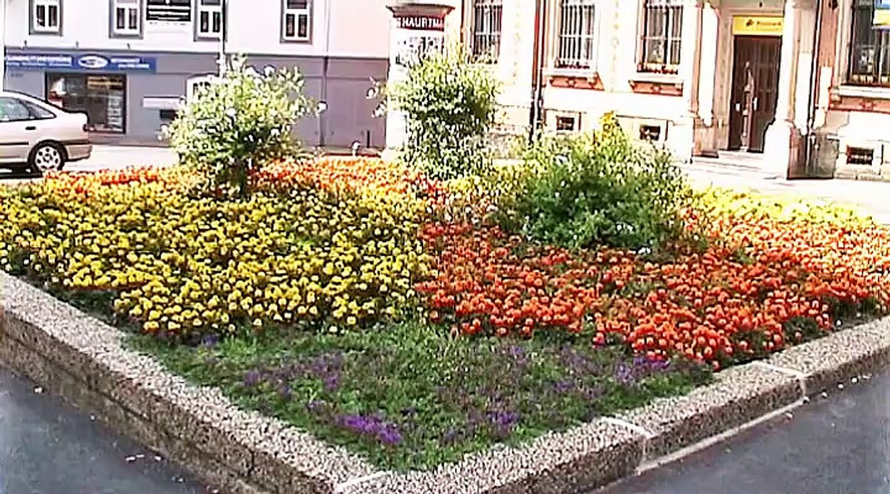 Auf großer Tour durch Zittau 2014