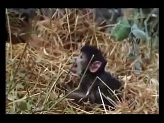 VIDEO POUR MON AMIE DE SKYROCK