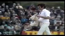 Eng vs Aus, World Cup semi-final, Leeds 1975 - Aus innings
