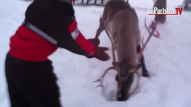 Voyage extraordinaire en Laponie pour 13 enfants malades