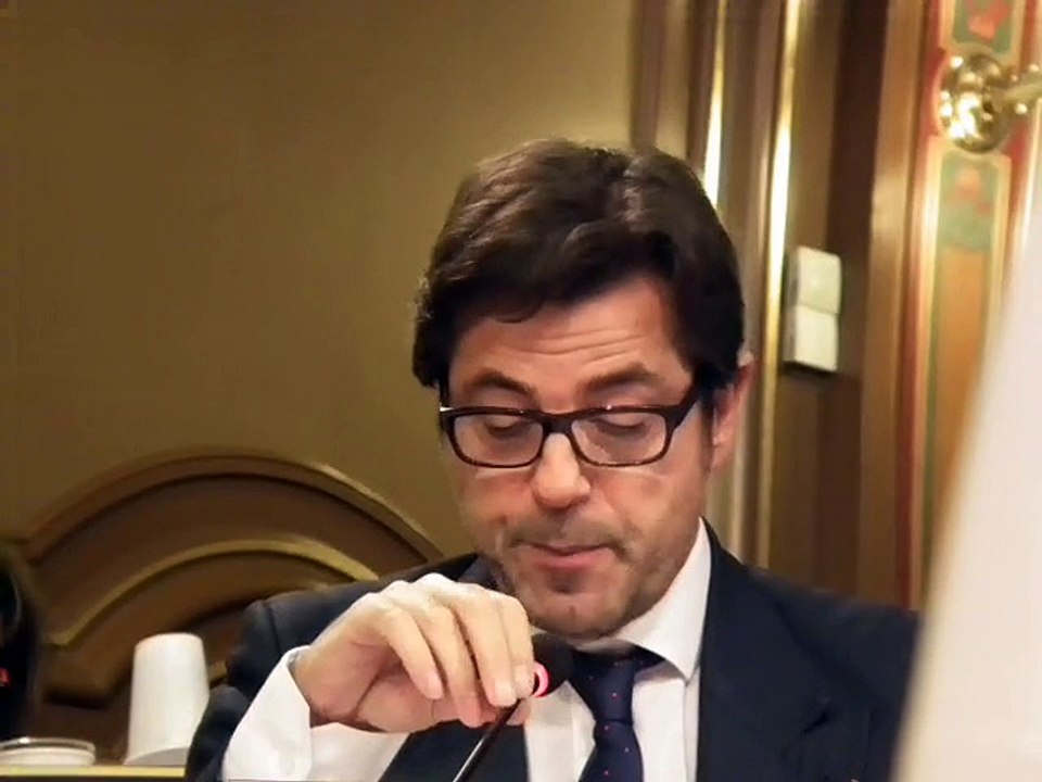 Diffusion du conseil municipal