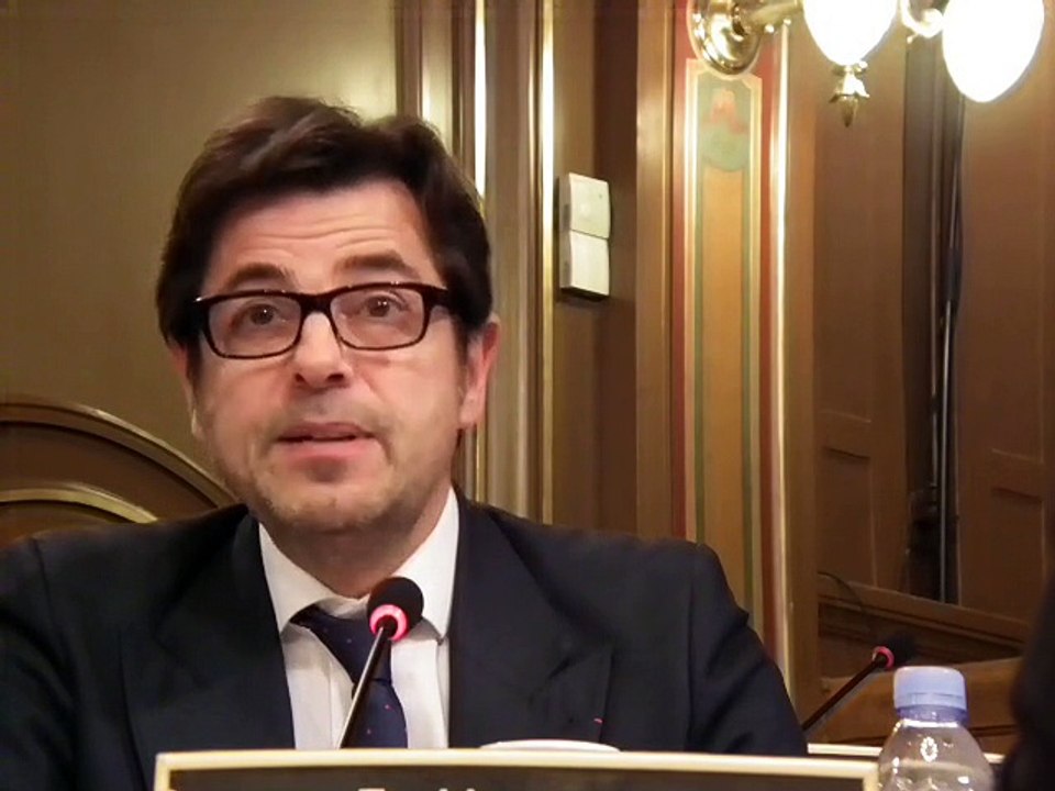Manifestation du 29 novembre 2014