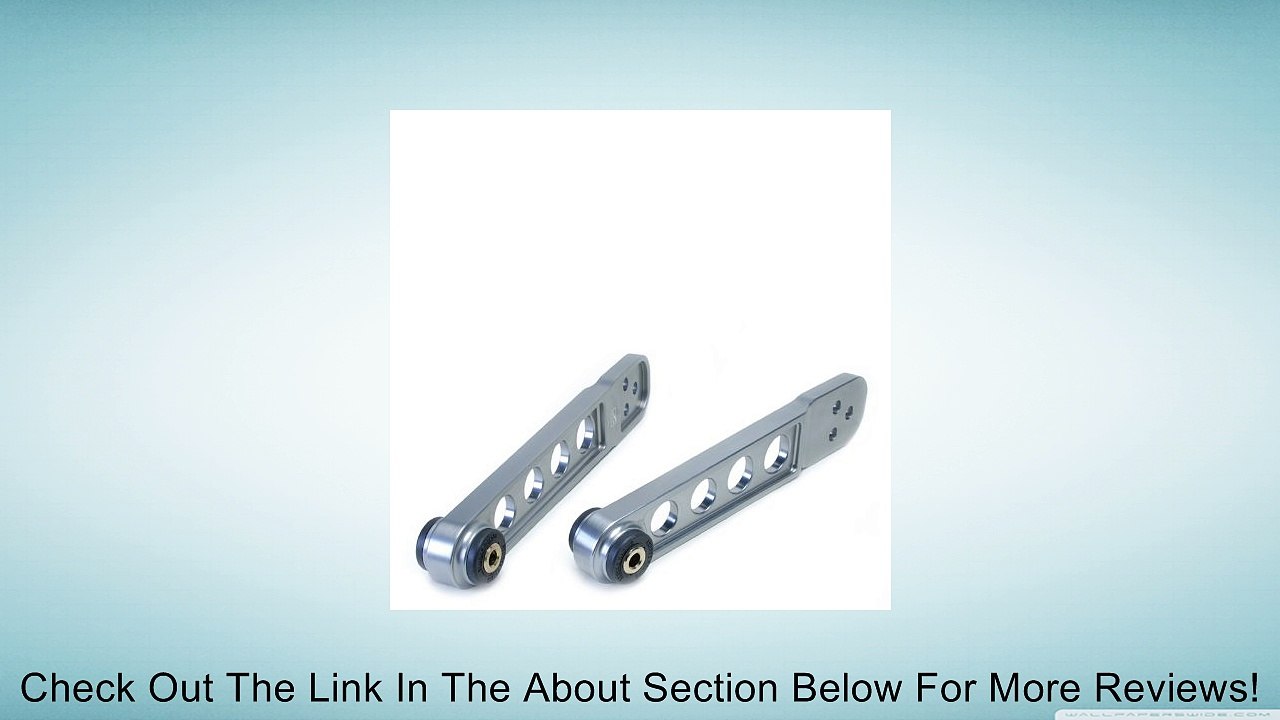 Skunk2 542-05-0220 Hard Anodized Rear Lower Control Arm for Honda Civic Review