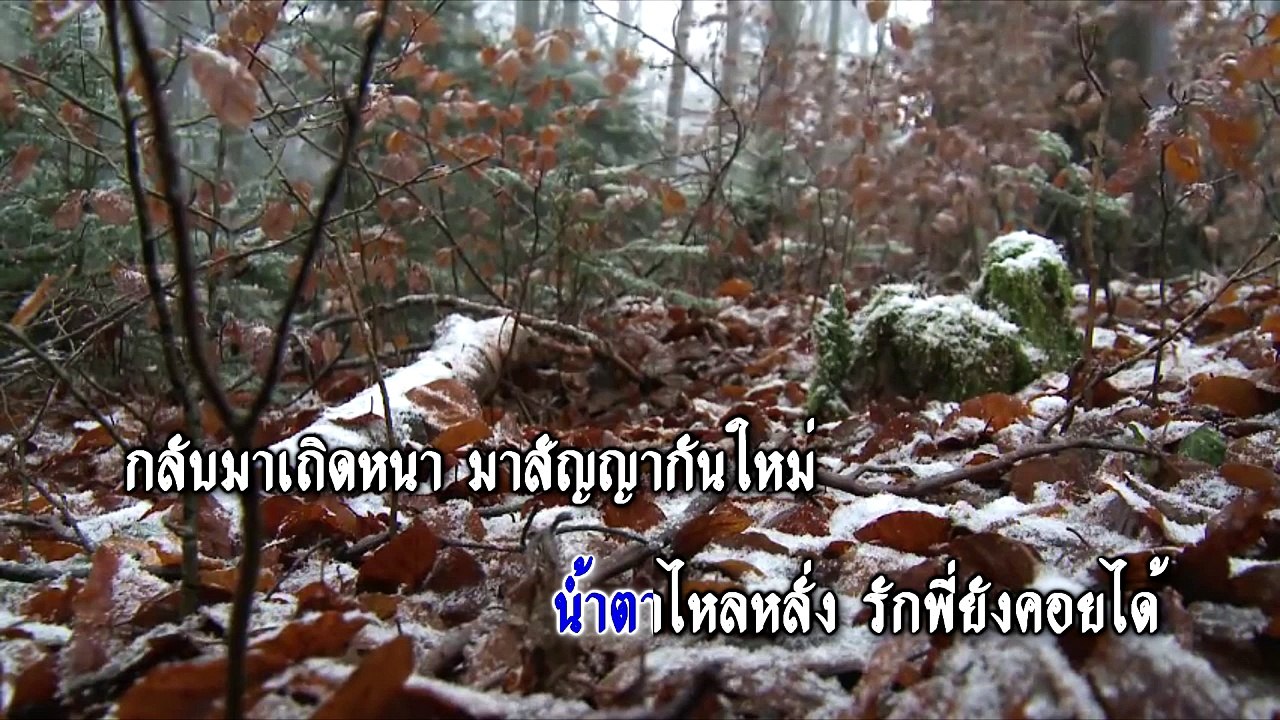 คิดถึงพี่บ้างไหม - สุเทพ วงศ์กำแหง