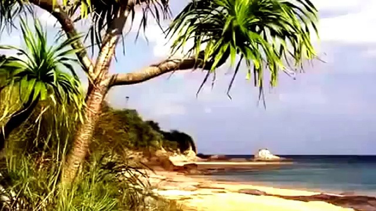 National Geographic Wild 2015 Lion Wild Japan Nature Full Documentary HD