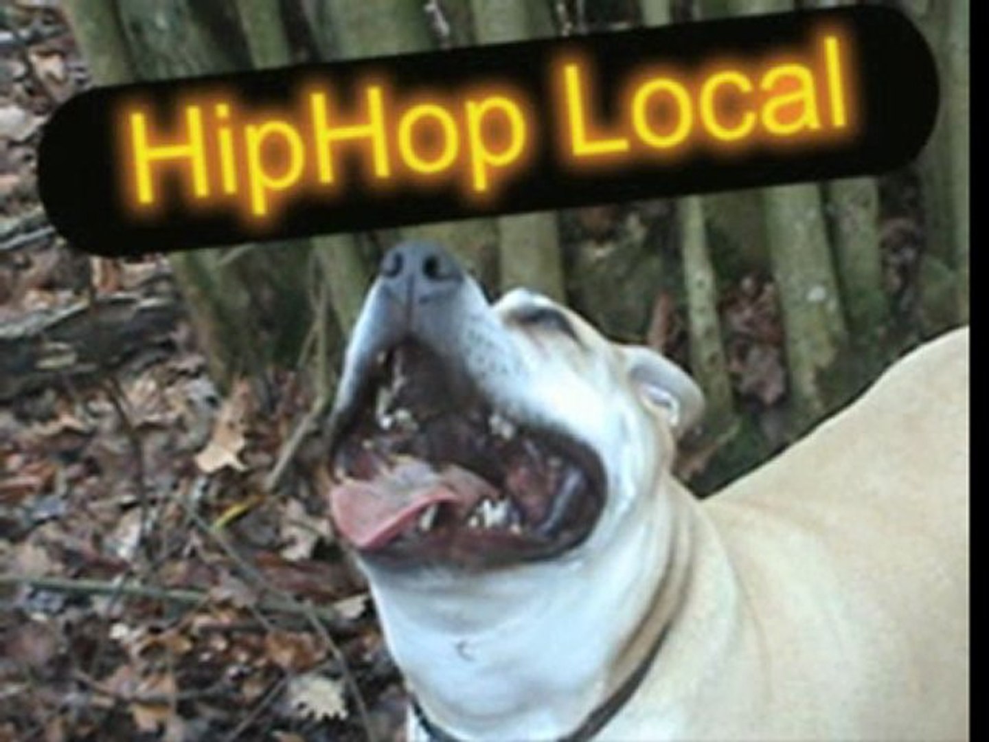 HipHop Local1